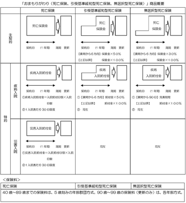 「おまもりがわり」商品概要