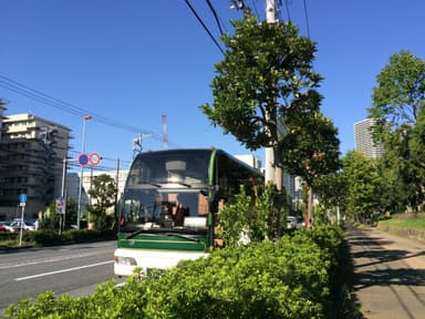 移動は大型バスで