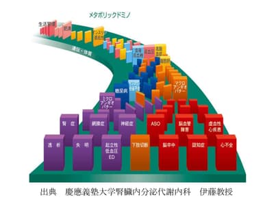 メタボリックドミノ図