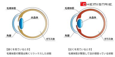 距離による目の状態