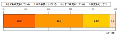 あなたは手荒れをしていますか？