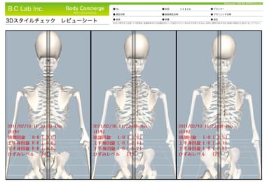 姿勢分析シート