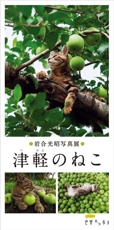 岩合光昭写真展 「津軽のねこ」