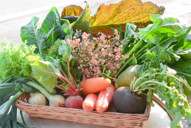 生駒高原農園の野菜