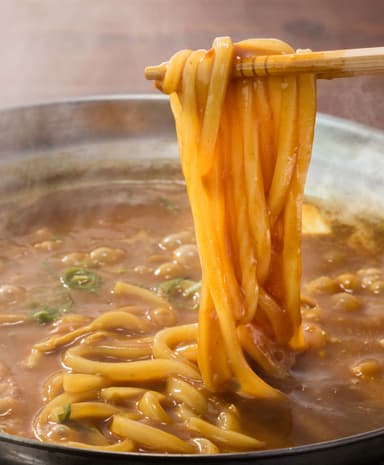 〆の特製カレーうどん