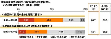 帰国後の外貨の取り扱いに関する意見