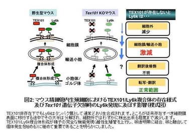 図2