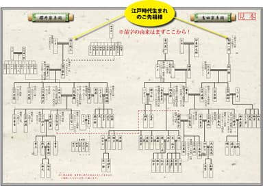 家系図見本