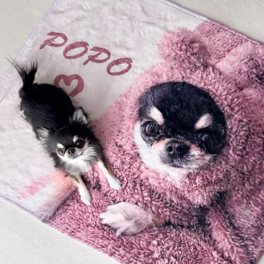 【5月13日・愛犬の日】“うちの子タオル”が話題に!写真もイラストもOKのオリジナルデザイン、今だけ限定キャンペーン開催