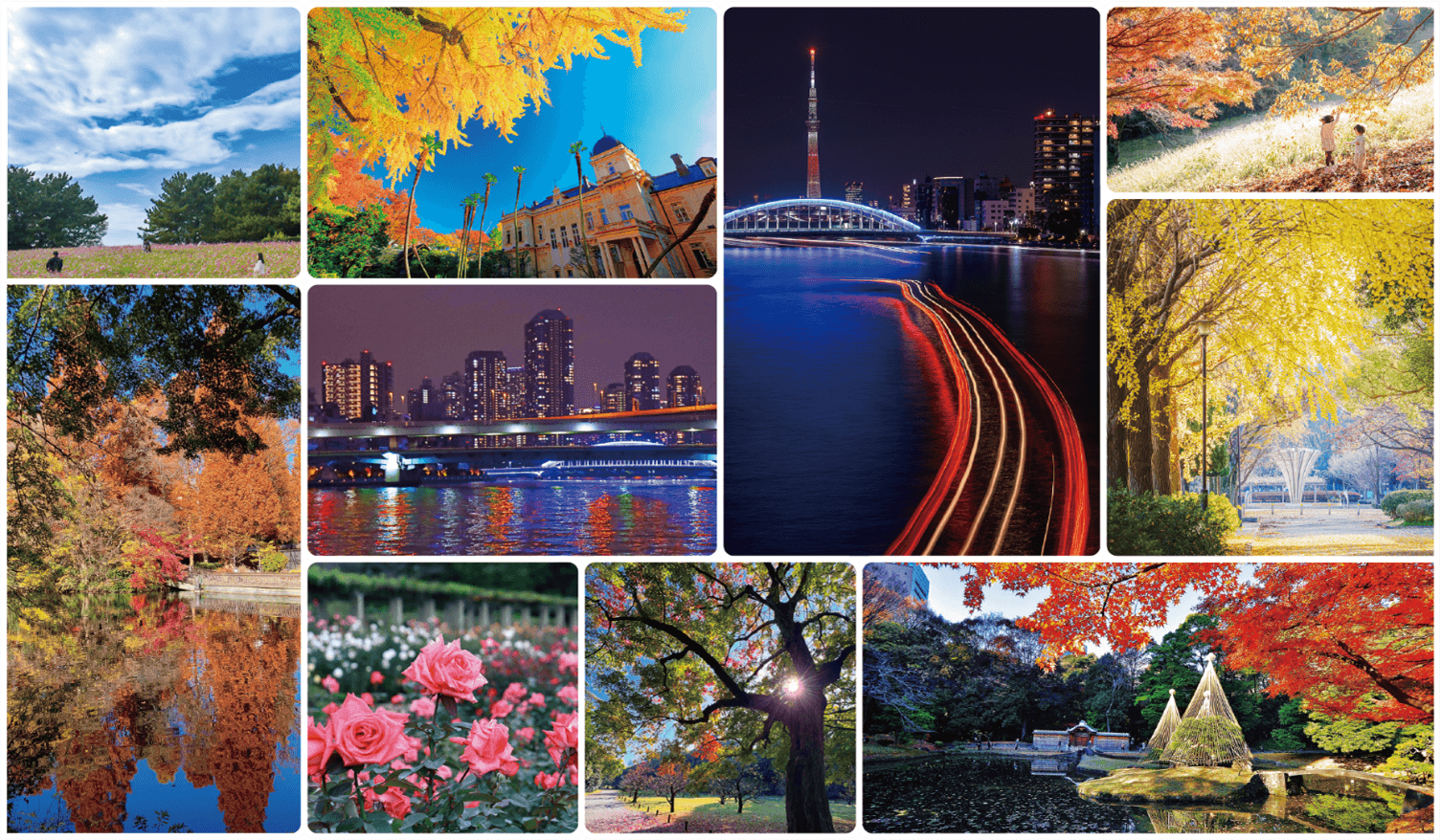 <10/31(金)より作品募集開始!>秋のTOKYO Instagramフォトコンテスト2025 ~都立公園・庭園・隅田川でたのしむ秋~