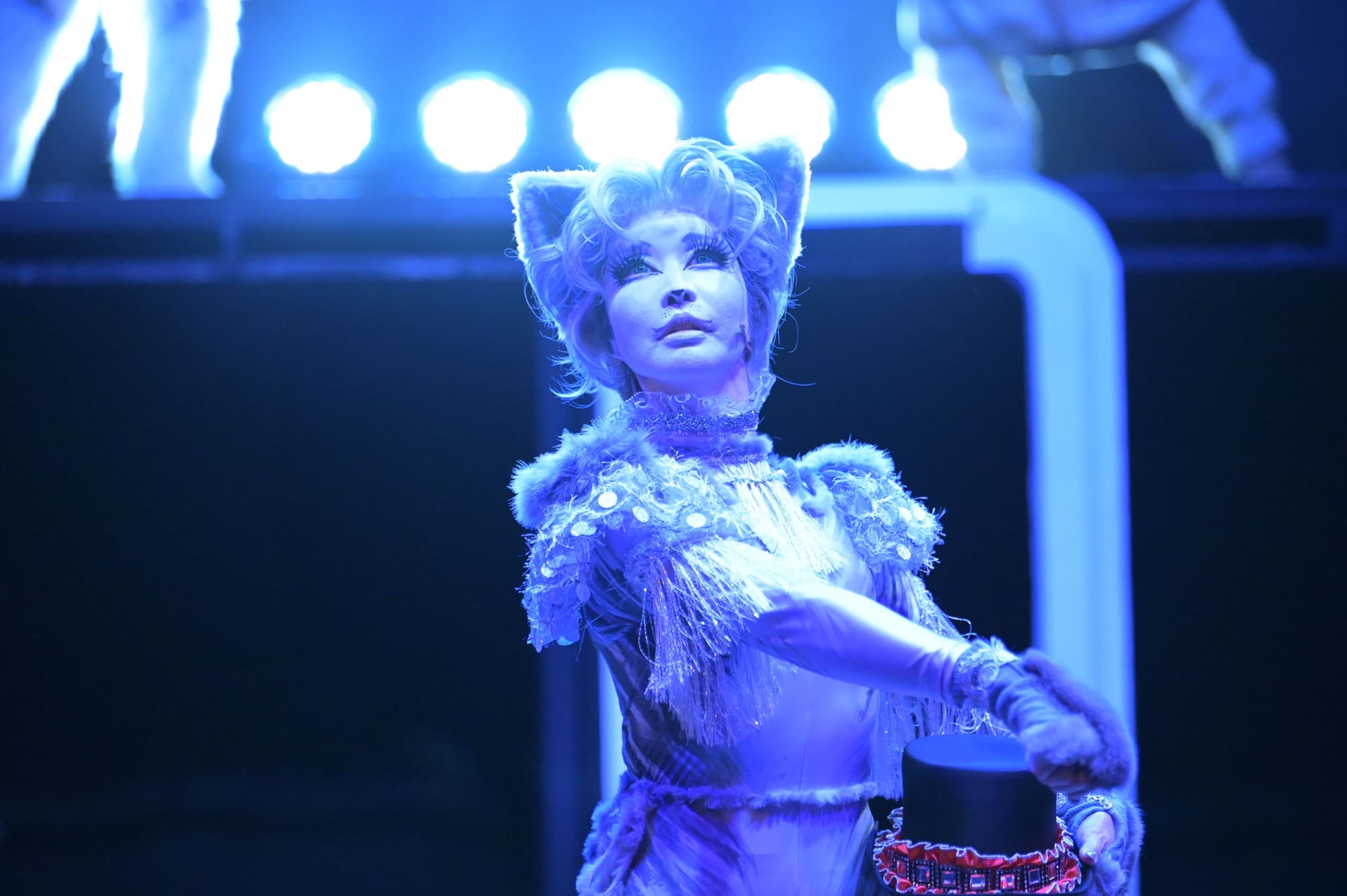 猫好き、猫オタ大満足の全く新しい猫のミュージカル『CATsLa』(キャッツら)が上演決定! 収益の一部は猫の保護活動へ