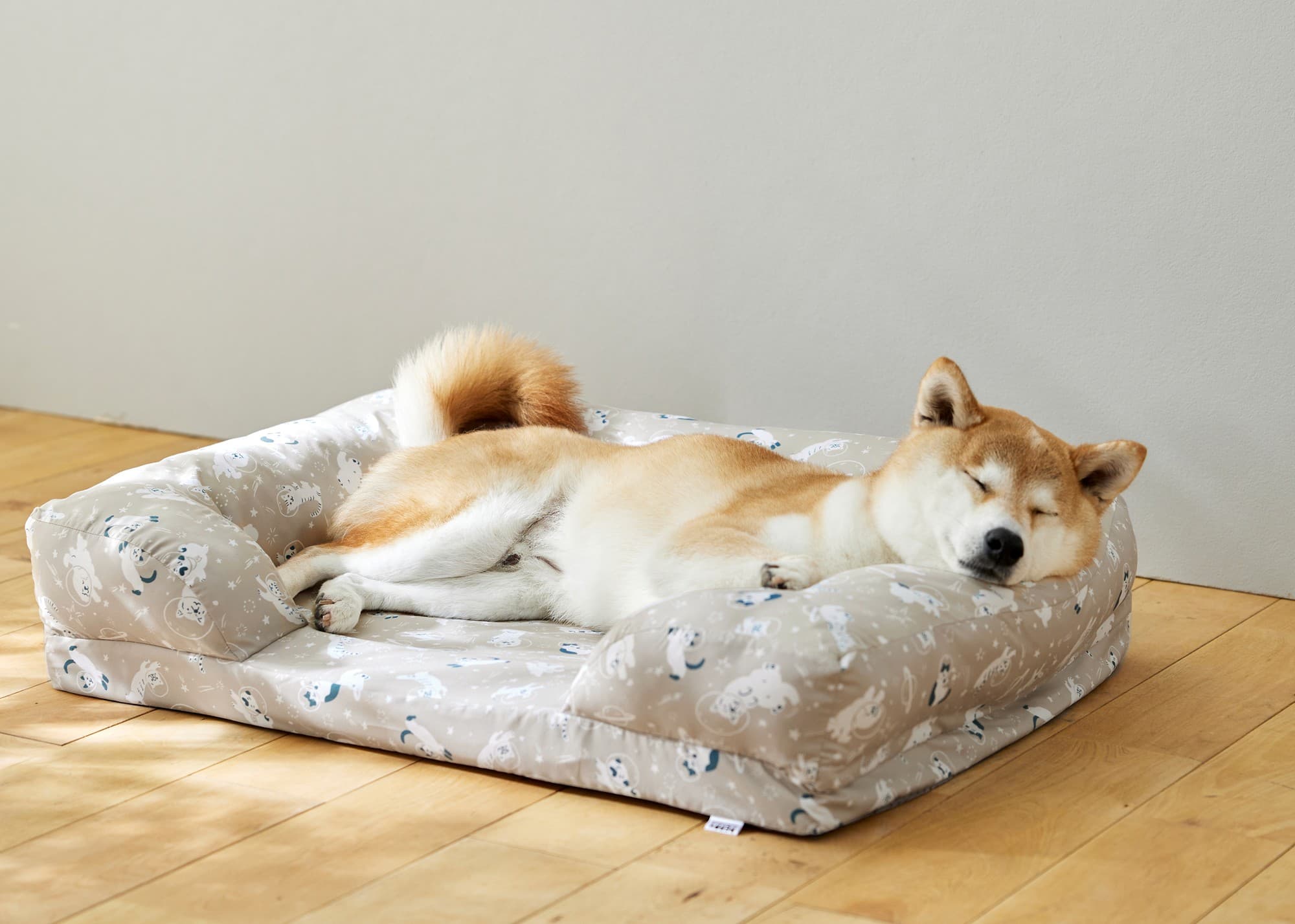 宇宙を漂う犬猫が可愛い!秋冬新柄コラボベッド全5アイテム9月8日より10%OFF開始