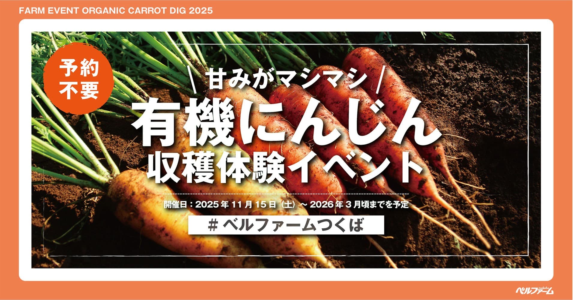 【ベルファームつくば】ベルファームの有機農場で甘みがマシマシのにんじんを収穫しよう!! 有機にんじん収穫体験イベント2025|期間:2025年11月15日(土)~2026年3月頃までを予定