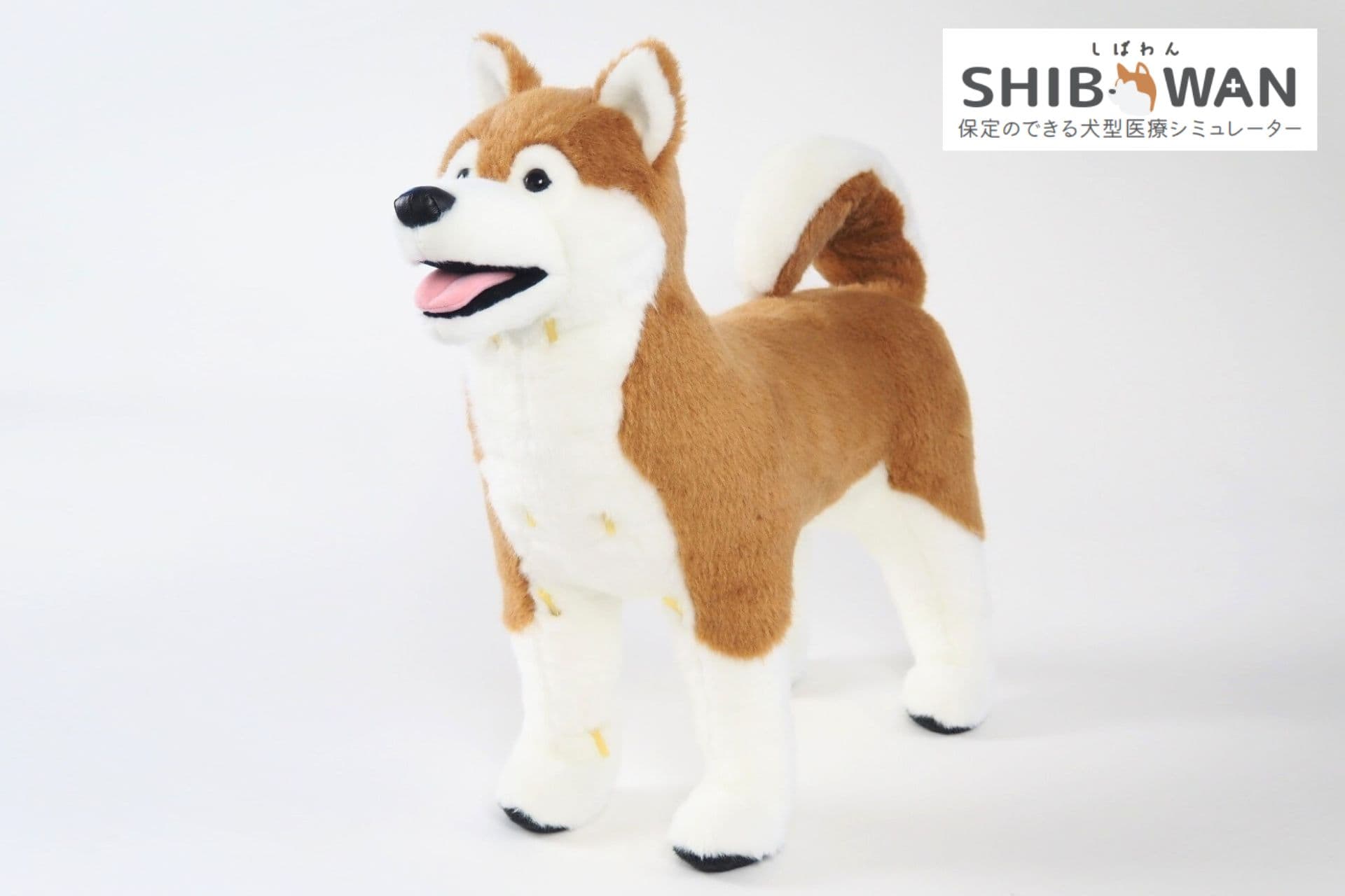 【倉敷芸術科学大学】どんな処置でもまかせてワン!愛玩動物看護師 技術UPの強い味方 「しばわん」発売決定!