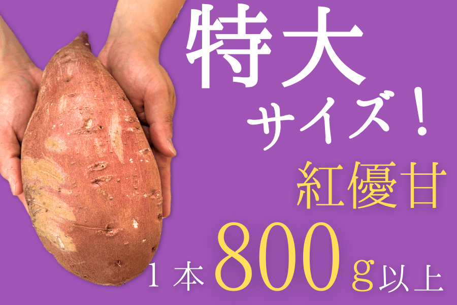 茨城県「いいものいっぱい広場」ショップの商品 約200点が「お客様送料負担なし」で販売中!