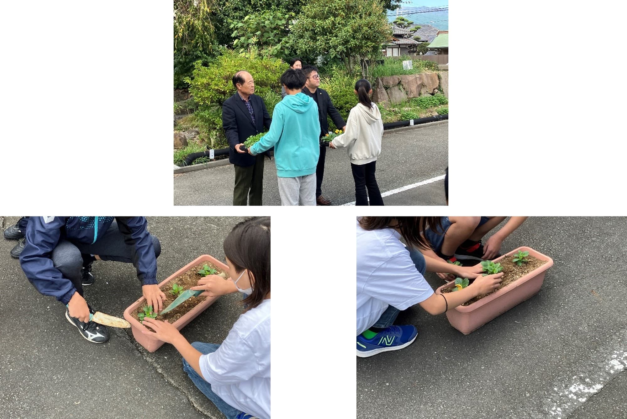 未来ある子供たちのために 小学校に花の苗を届け続けて35年