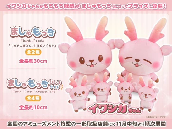 イワシカちゃんがプライズに!「ましゅもっち」「ましゅもっちひとくちサイズ」が全国のアミューズメント施設の一部取扱店舗で11月中旬から順次展開