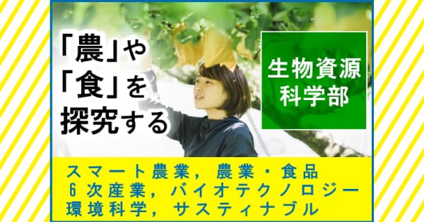 一般選抜(前期日程・後期日程)出願受付中!