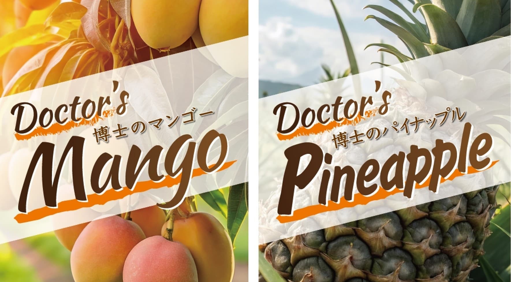 「博士のドライフルーツ」がコンフェックス(株)の発行するマーケティングブック「CHICOTTO 2025・秋冬号」に掲載