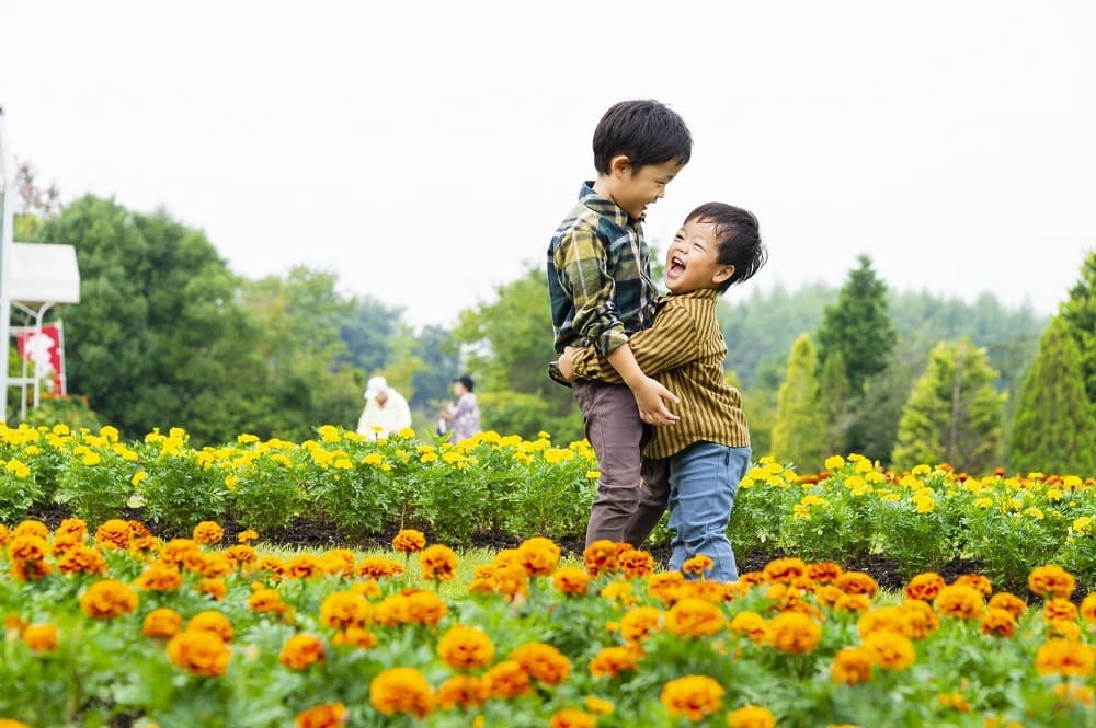 【千葉県野田市】清水公園花ファンタジア「秋の部」スタート!
