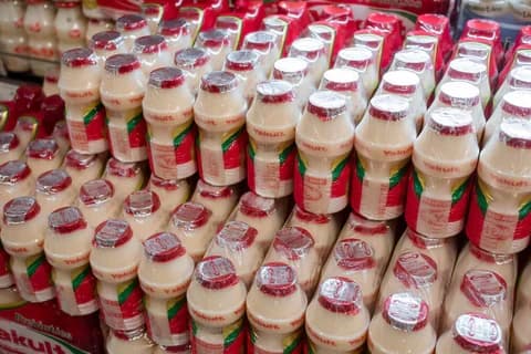 日本の健康飲料市場規模は2033年に85億5,409万米ドルに達すると予測|年平均成長率(CAGR)4.47%