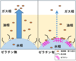 マーガリン類でゼラチンが香り成分の放出に影響することを確認 若手研究者奨励賞を受賞