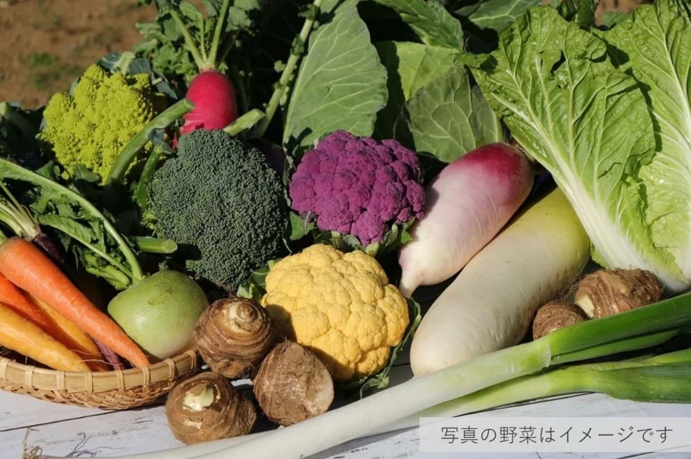 JAよこすか葉山の大型直売所スタッフが厳選!「すかなごっそ 季節の野菜セット」の販売を開始