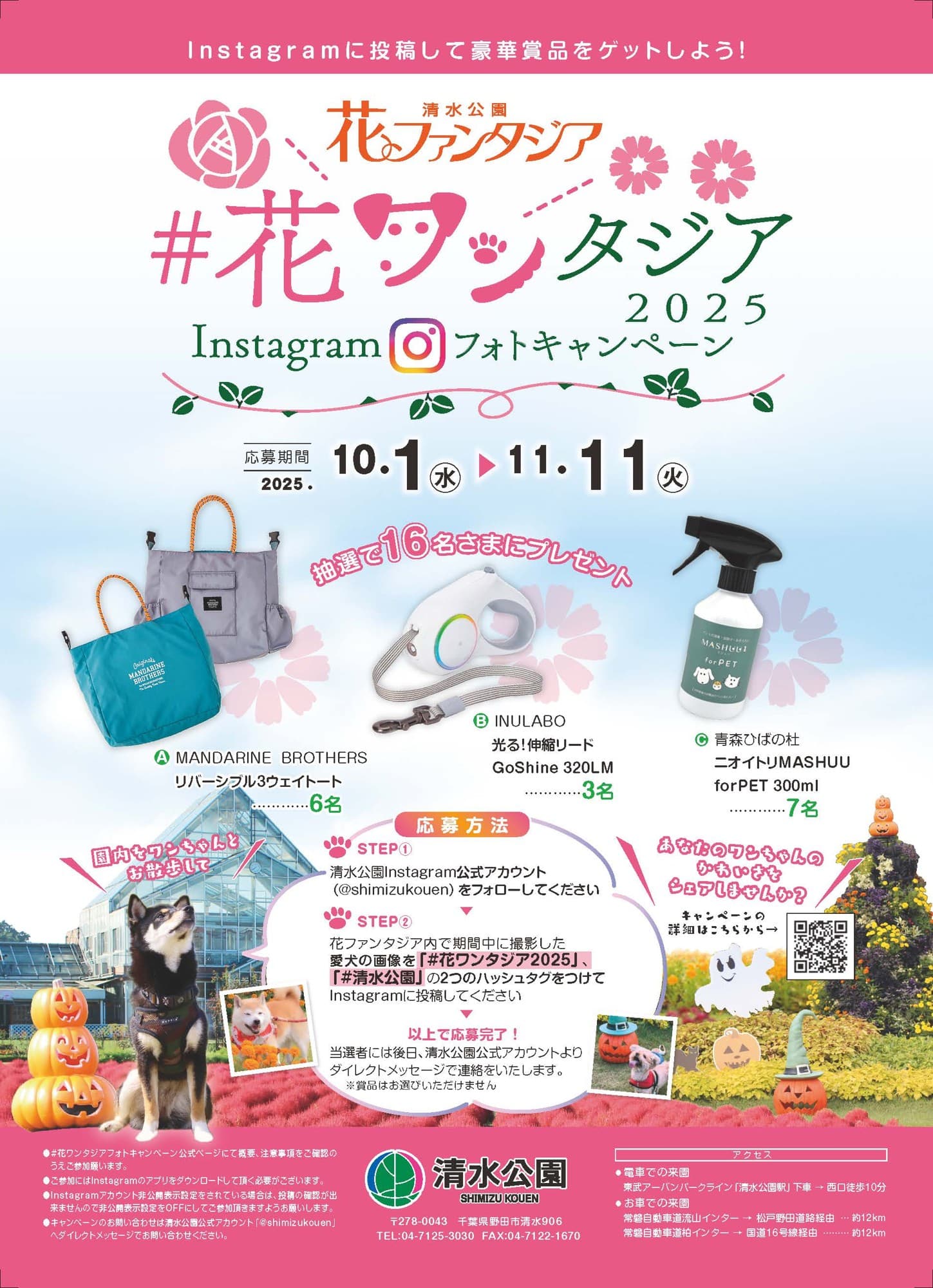 【清水公園】花ファンタジアでフォトキャンペーン開催!