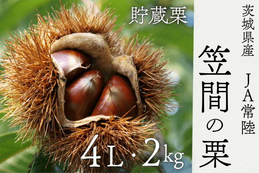 「JAタウン」のショップ「いいものいっぱい広場」で 「茨城県産 笠間の栗」を予約販売中