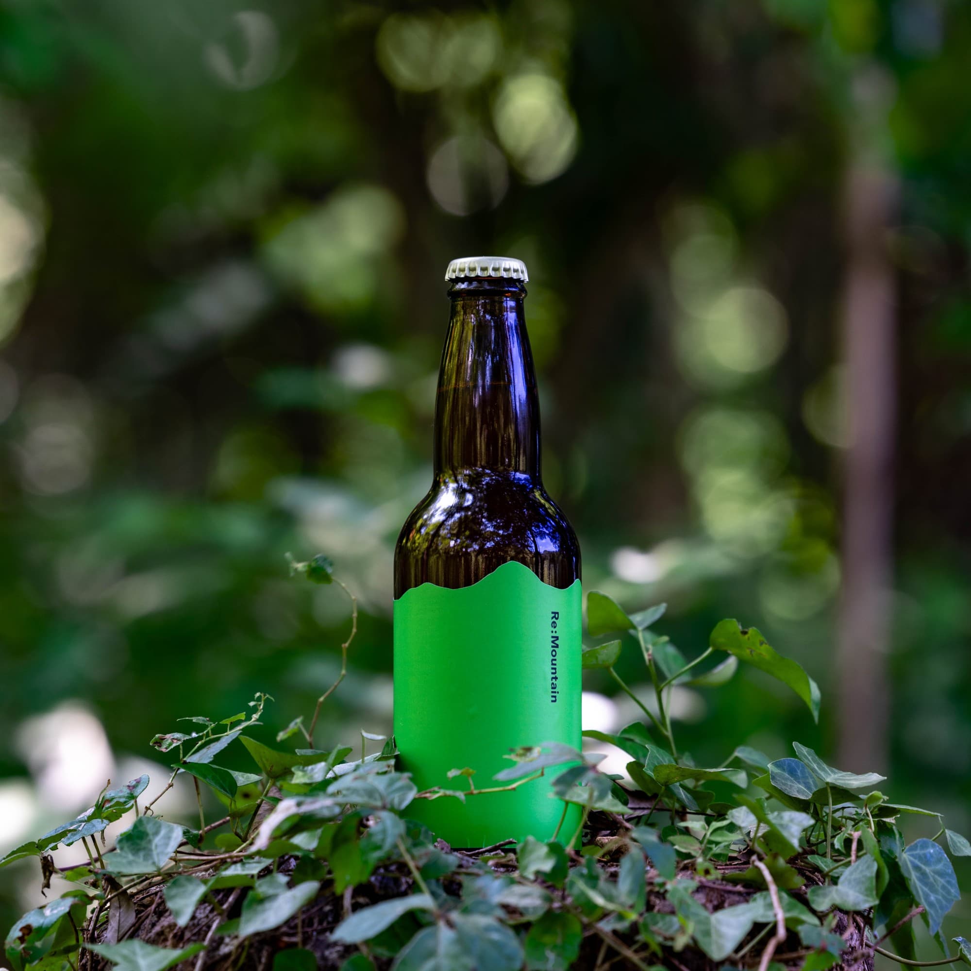 森の記憶を醸す、ジュニパー枝葉×カカオハスクの新感覚クラフトビール〈Re:Mountain〉期間限定発売!【2025年8月11日(月・祝)】