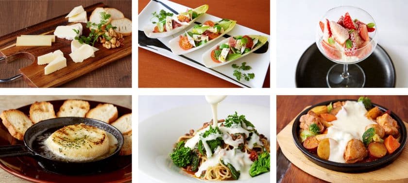 銀座レストラン14店舗で『とかちーずまつり』2月26日より開催
18種のチーズで作ったオリジナル料理34品を提供!