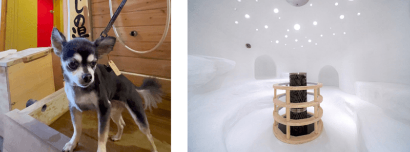 BIGLOBEが、温泉賢人が偏愛する温泉宿リスト
「ペットも喜ぶ温泉宿」「ここは桃源郷!温泉サウナ」を本日公開