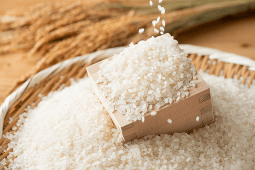 <静岡>地元の魅力を“よいしょっ”とすくい上げろ!
伊豆・村の駅で「お米盛り放題」イベントを開催!