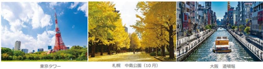 「夏&秋たびセール」で国内”個人旅行”を応援
全国41空港発着 航空機利用編
6月4日(水)深夜0時受付スタート(ウェブ限定)