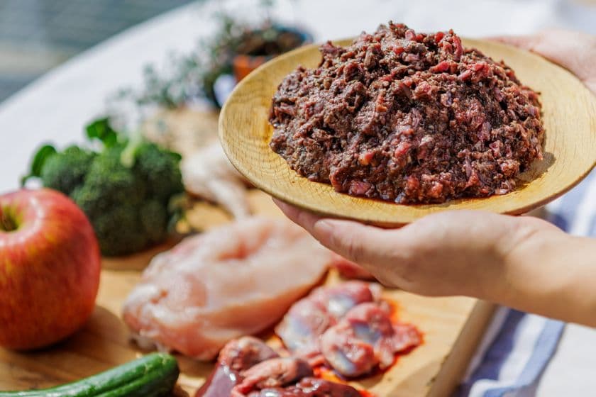 HUGBOX、犬猫の“本来の食事”を科学で育むプロジェクトを
藤田医科大学発ベンチャー バイオシスラボと始動