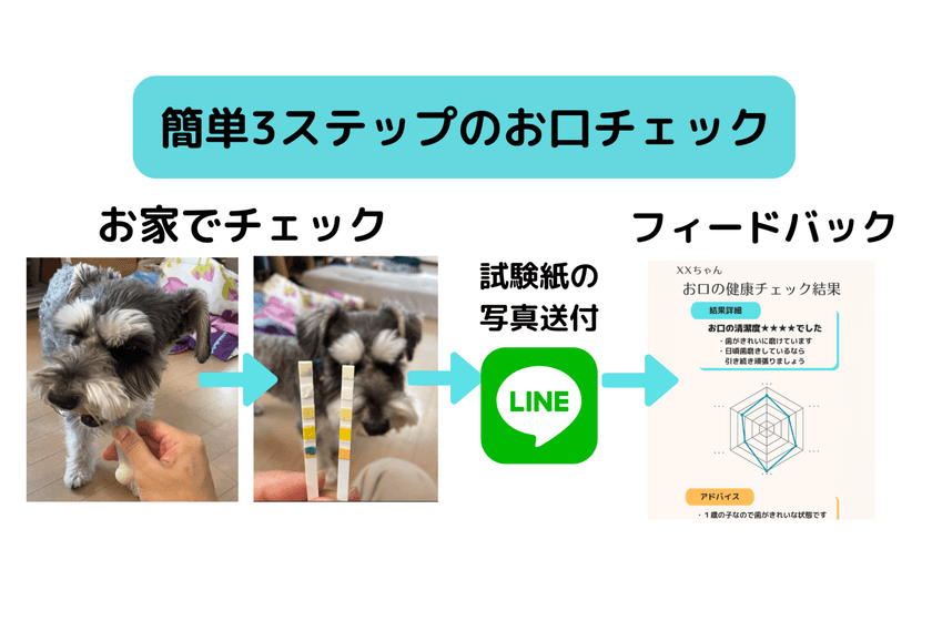 横浜市・テック系スタートアップ実証実験等支援助成に採択!
Ani-lience(R)お口の健康チェックキットの実用化を加速