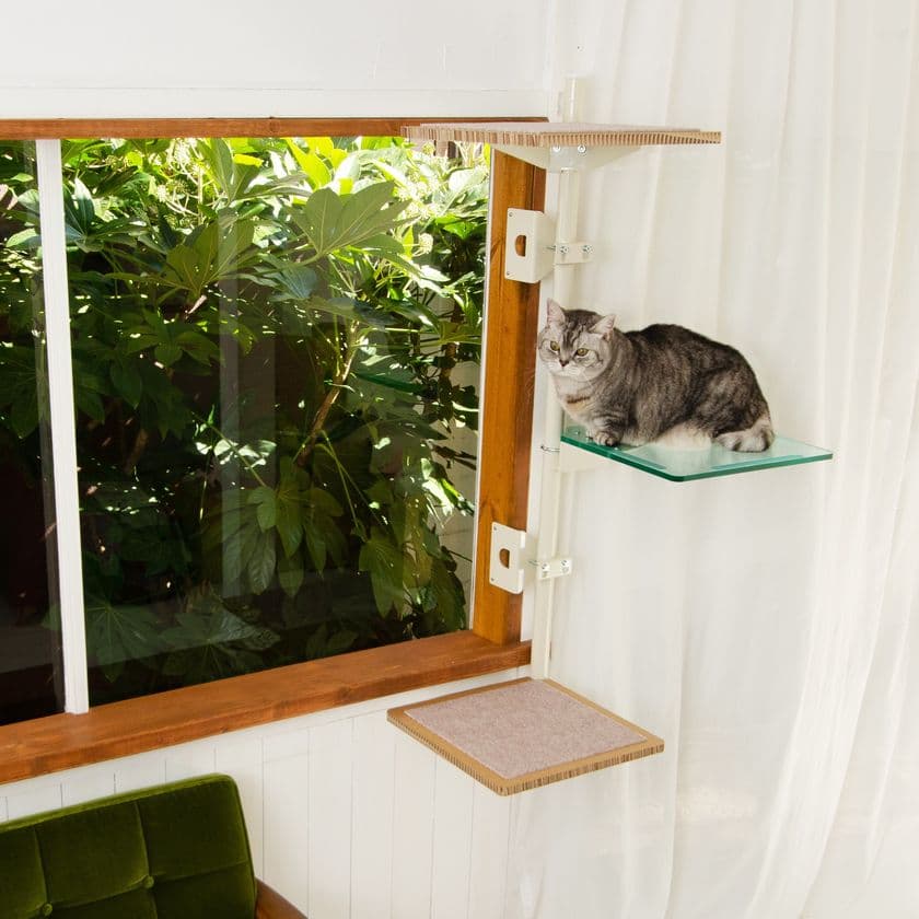 業界初!窓枠につけるキャットタワー「ねこゴロン」
最大10%OFFの期間限定秋セールを開催!