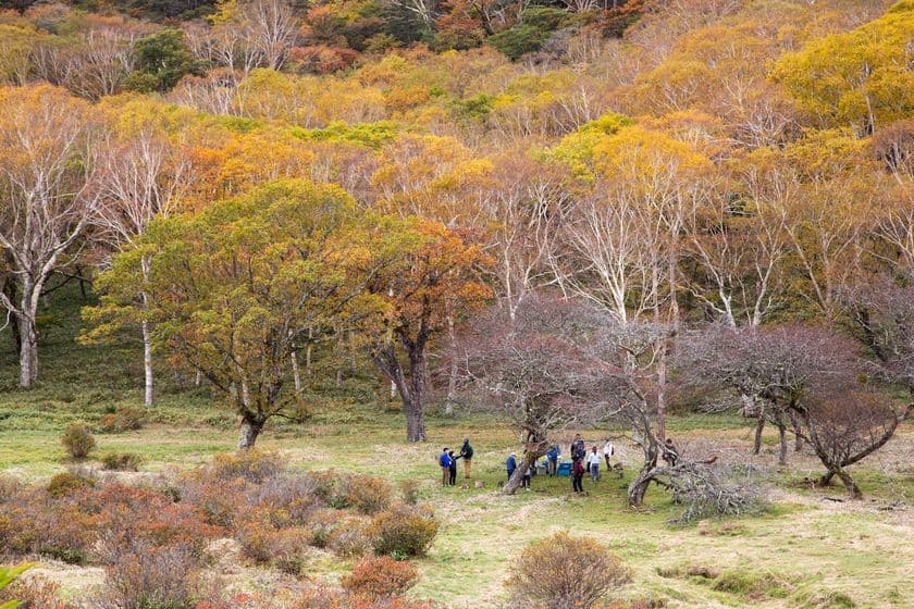 群馬県赤城山 紅葉の時期に「普段は入れない!
赤城白樺牧場 秘密の絶景ツアー 2025Autumn」開催