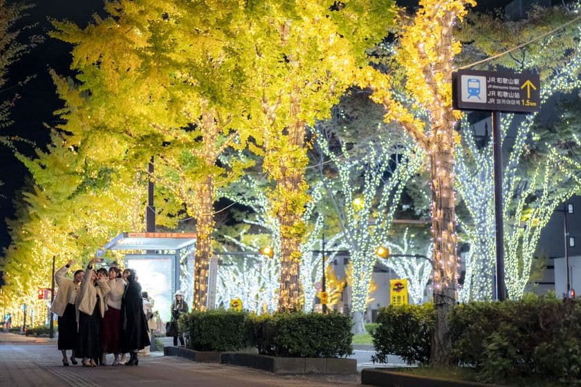 和歌山市の夜が輝きだす!
130万球の光と500機のドローンが街と夜空を彩る
けやきライトパレード&WAKAYAMA LIGHTS 2025!