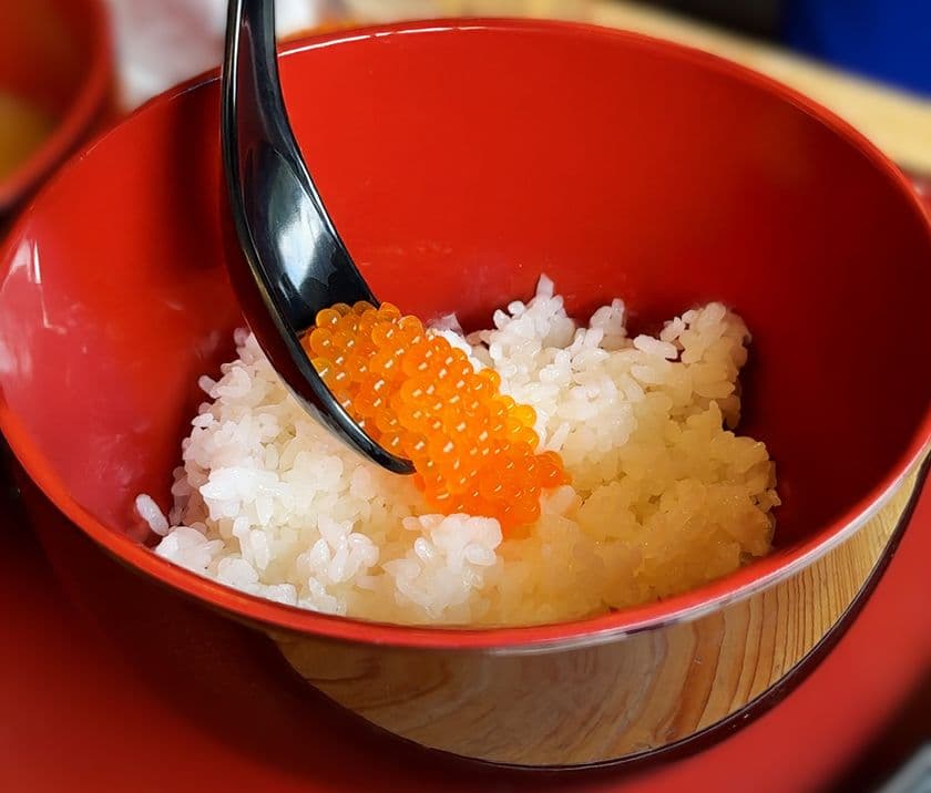 ニジマスの採卵と生しぼりイクラ丼を味わう、
親子や友人と楽しめるイベント 
滋賀県醒井養鱒場で11月22日開催