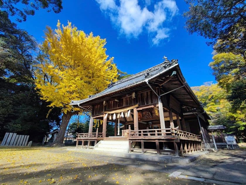 愛媛県・浮嶋神社様にて御守り・御朱印の2026年版予約開始
神代文字の一種である龍体文字と御守り・御朱印が現代で融合