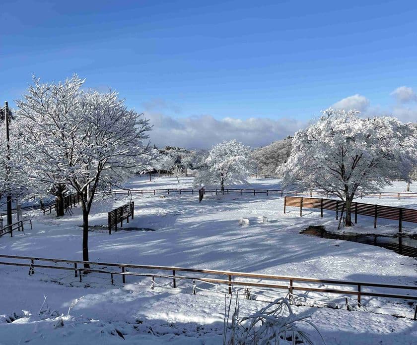 「雪国グランピング」2025年12月よりスタート!
SnowPeakと隈研吾氏共同開発のモバイルハウス
「住箱-JYUBAKO-」での宿泊と雪中バーベキュー&雪中サウナ