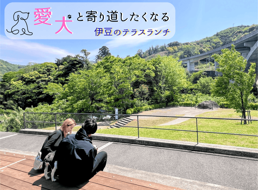 【ブロガー必見!】“癒やしのドッグテラス”誕生!
狩野川と天城連峰を望む開放的なカフェスペース
“ペット同伴”ランチスポットが話題
道の駅 伊豆月ケ瀬