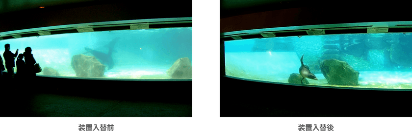 コーヒーの脱色からアシカプールの水質改善、除草剤の分解まで
オゾンに特化した研究室「オゾンラボ」
失敗例含むリアルな実証実験データ200件を公開