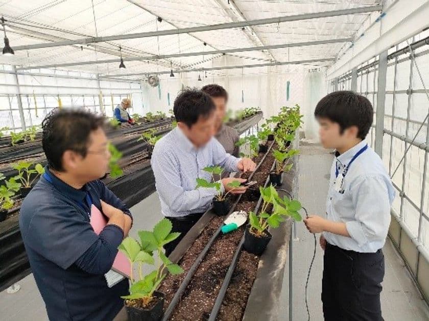 スマート農業分野の灌水制御技術をデンソーと共同で検証開始