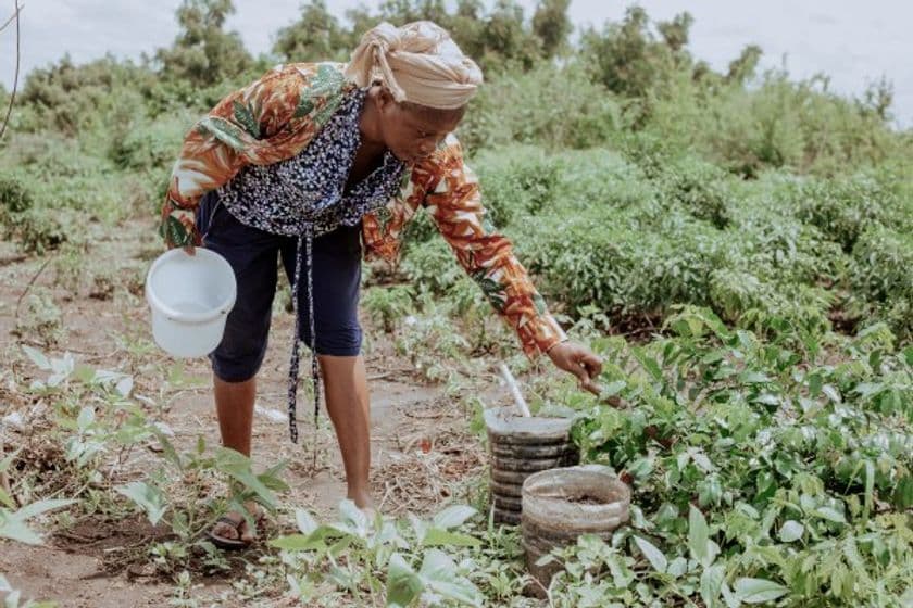 BSIグループジャパン(英国規格協会)、
『レインフォレスト・アライアンス認証』解説動画シリーズ完結編
――実務担当者必見の最終章をWebで公開