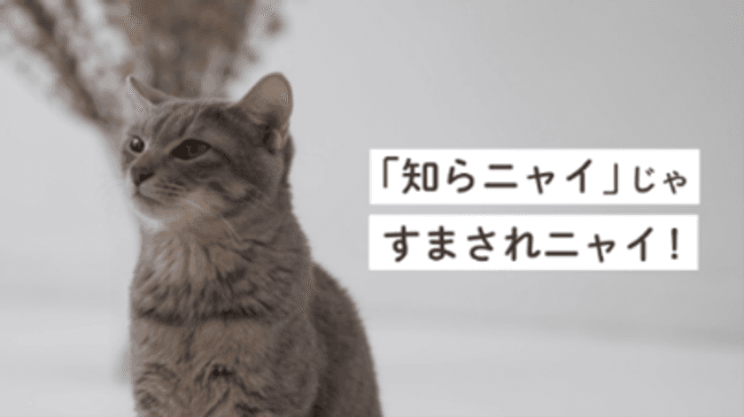 ~九都県市連携企画~
事業者への「プラスチックごみの分別啓発」を共同で行います