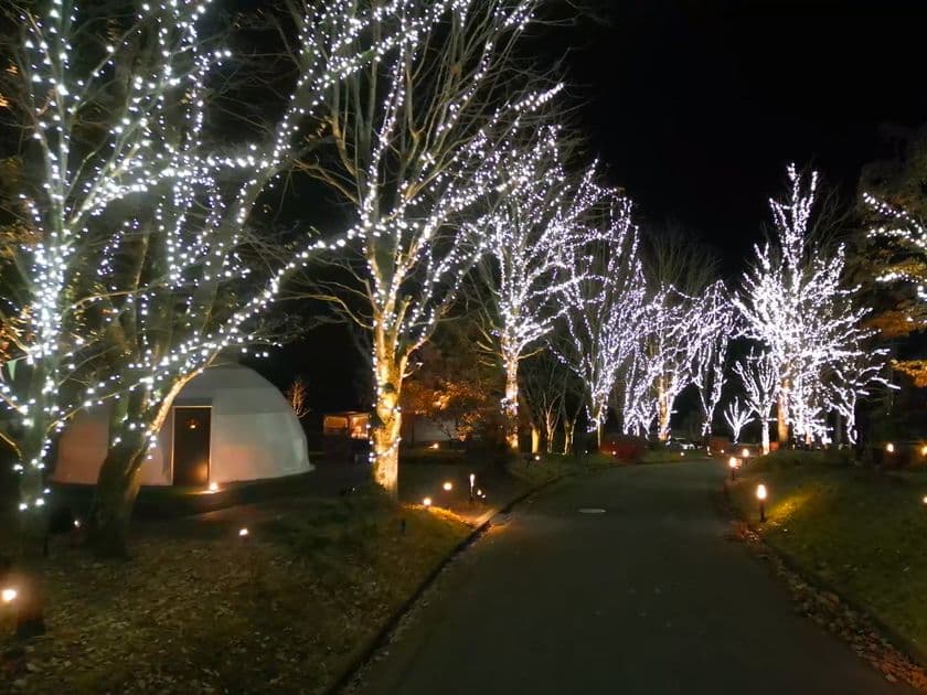 グランピングリゾート ブリリアントヴィレッジ日光
まもなく開業3周年!4万球のLEDが灯る
「イルミネーションナイト2025」11月29日より点灯開始!