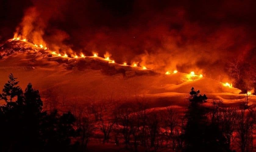 冬にしか見られない一面の銀世界
魚沼市のおすすめ冬のスノーアクティビティ3選