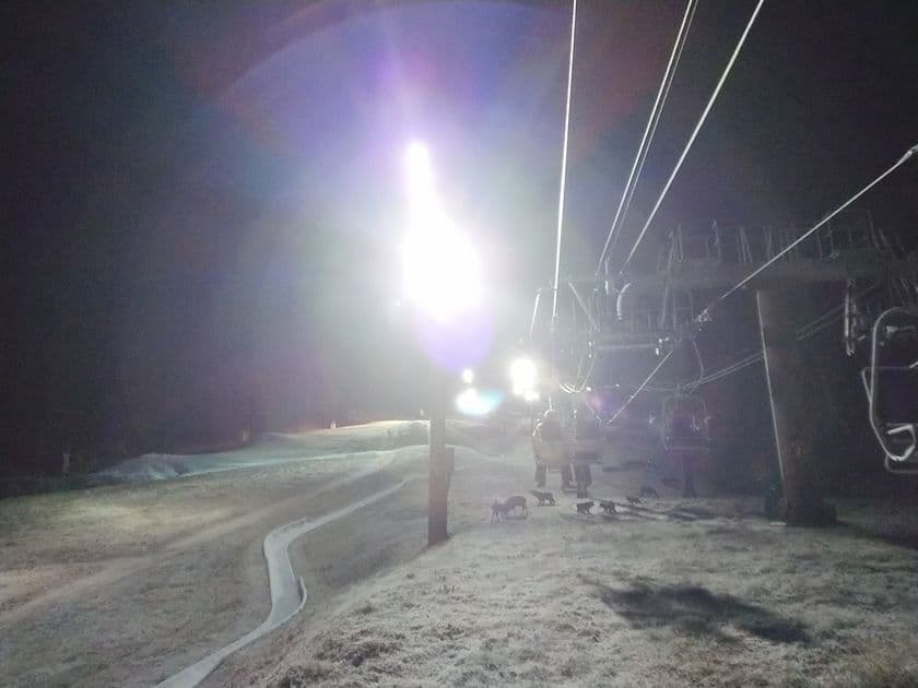 元旦の朝、標高約1,100mで迎える初日の出
リフトで登る「平尾山 山頂からの初日の出」2026年 元旦限定